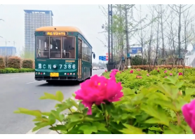 牡丹开出文旅新意 PG电子黄金城夺宝助洛阳迎盛会